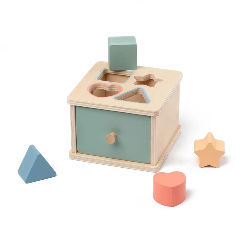 A wooden Montessori color sorting and shape sorter set featuring pastel green, pink, and beige shapes.