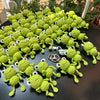 A large display of handmade crochet frog keychains in various shades of lime green arranged on a dark surface.