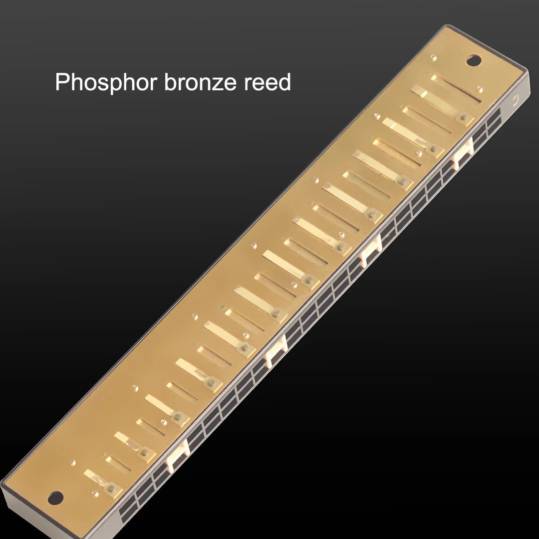 24-Hole Tremolo Harmonica in C with Carrying Case