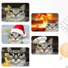 A set of four cat meme stickers featuring cats in various expressions and contexts.