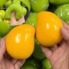 A hand holds a bright orange mango stress ball next to green squishy texture balls.