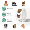 A set of funny cat meme stickers featuring various cats in different expressions and poses.