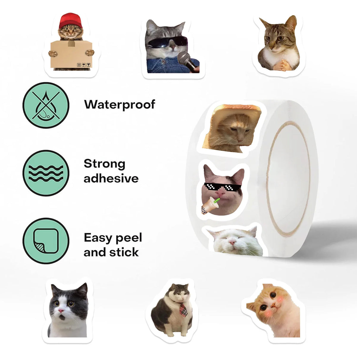 A set of funny cat meme stickers featuring various cats in different expressions and poses.