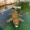 Realistic Remote Control Crocodile for Pool and Lake Play