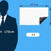 A diagram showing the dimensions of an A4 size magnetic dry erase board and a silhouette of a man.