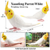 Realistic Bird Figurine Set – Educational PVC Models for Kids and Collectors