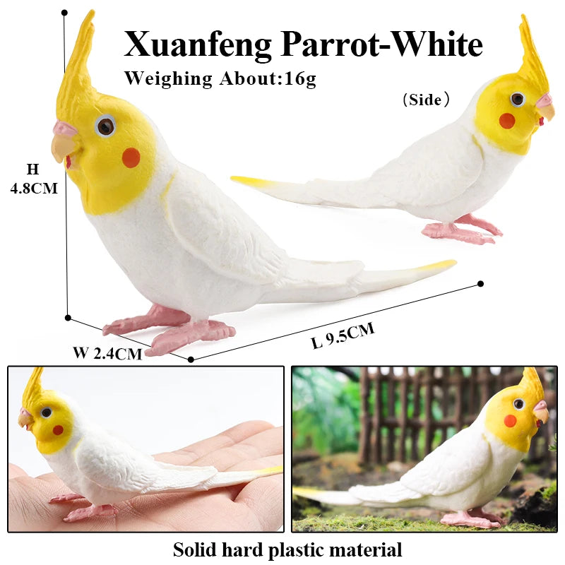 Realistic Bird Figurine Set – Educational PVC Models for Kids and Collectors