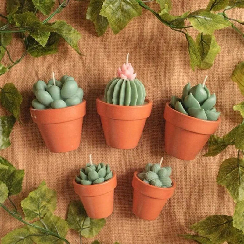 Three potted green cactus succulents with pink flower tops displayed on burlap fabric.