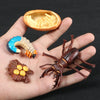 A hand holds a set of preserved insects and an apple cross-section for an animal and plant life cycle learning kit.