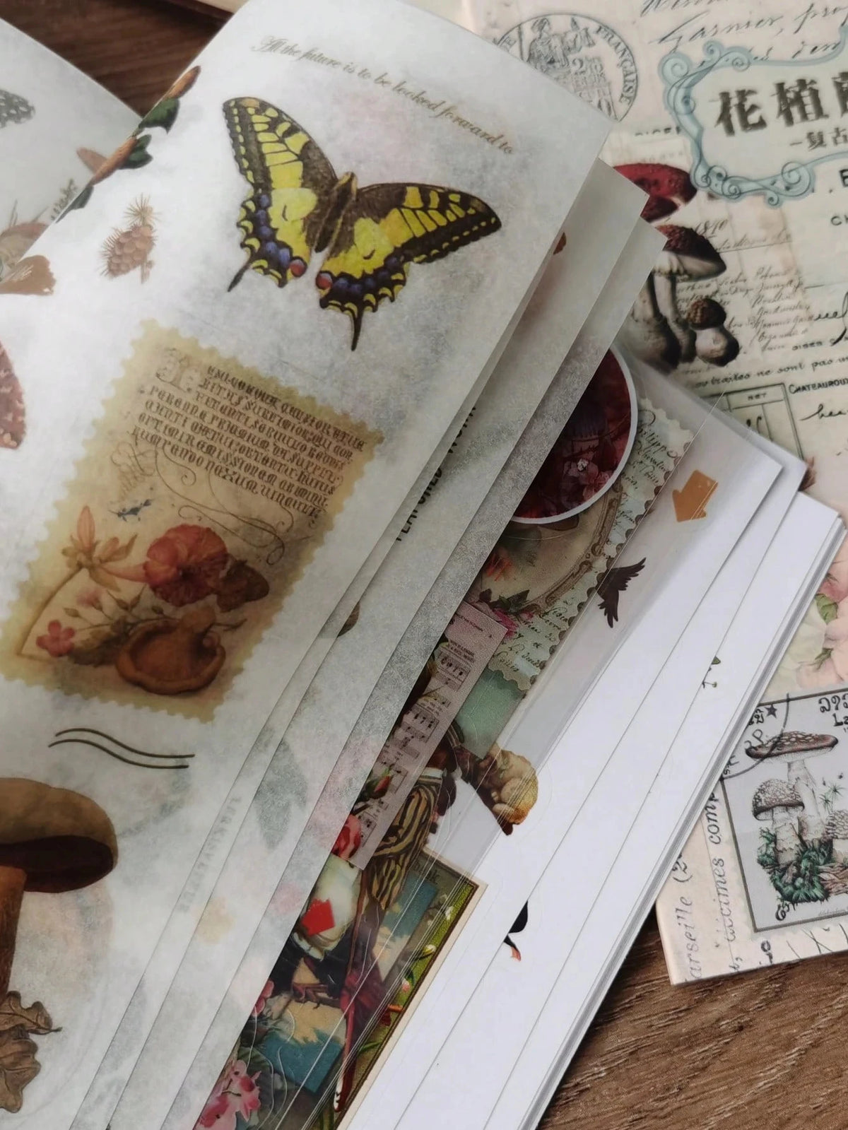 A close-up of a retro botanical sticker book featuring illustrations of butterflies, leaves, and floral elements.