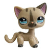 A charming bobble head pet figurine of a light brown cat with large blue eyes and pink accents.