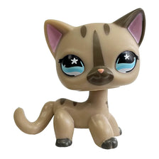 A charming bobble head pet figurine of a light brown cat with large blue eyes and pink accents.