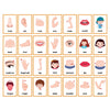 Montessori English Word Learning Cards for Kids
