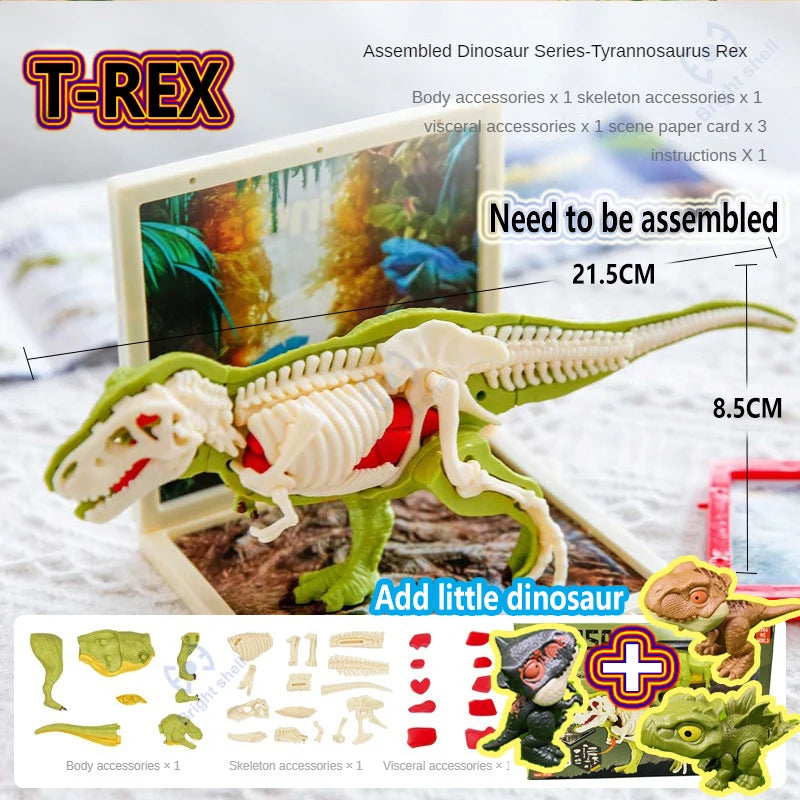 Assembled T-REX dinosaur model kit showing body, skeleton, and visceral accessories for fossil excavation.
