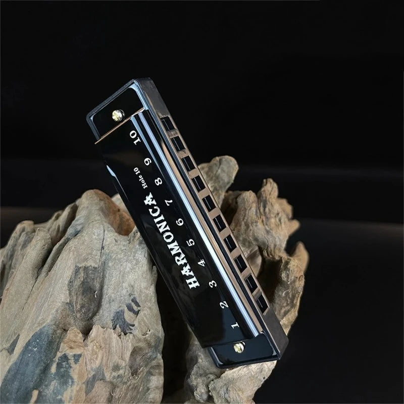 A black 10-hole diatonic harmonica with a carrying case rests on a rough, light-colored rock.