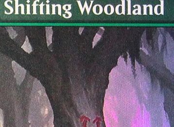 A card featuring a forest scene with dark trees and bright, colorful light filtering through.