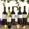 A set of ten reusable T-shaped wine bottle stoppers with various colored corks and bottle necks displayed against a leafy bac