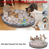 A multi-cat pet toy featuring a rolling ball and various hide and seek scenarios for cats.