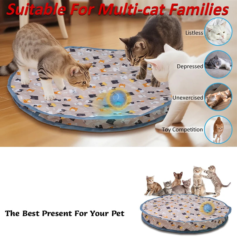 A multi-cat pet toy featuring a rolling ball and various hide and seek scenarios for cats.