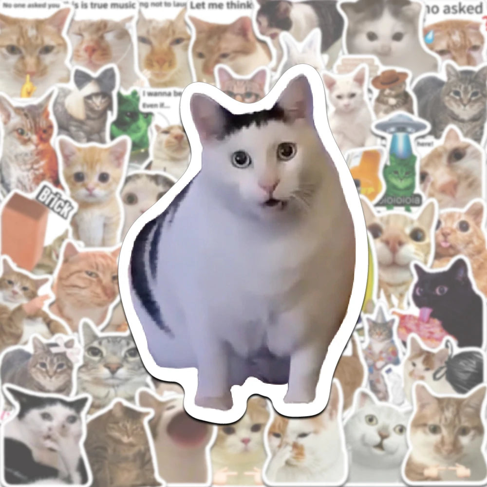 A large white cat with black stripes is featured in a collage of funny cat meme stickers.