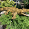 Realistic Remote Control Crocodile for Pool and Lake Play