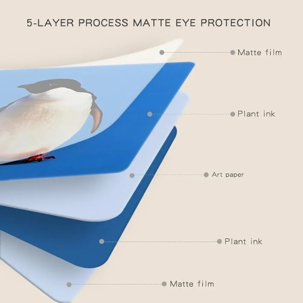 A diagram showing a 5-layer process for matte eye protection, illustrating layers like matte film and plant ink on art paper.