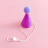 Pet Birthday Hat and Bib Celebration Set