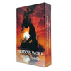 A box of Shadow Work oracle cards featuring a silhouette of a woman against an orange and red sunset background.