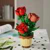 A bouquet kit featuring red and pink roses and green foliage displayed in a pot.