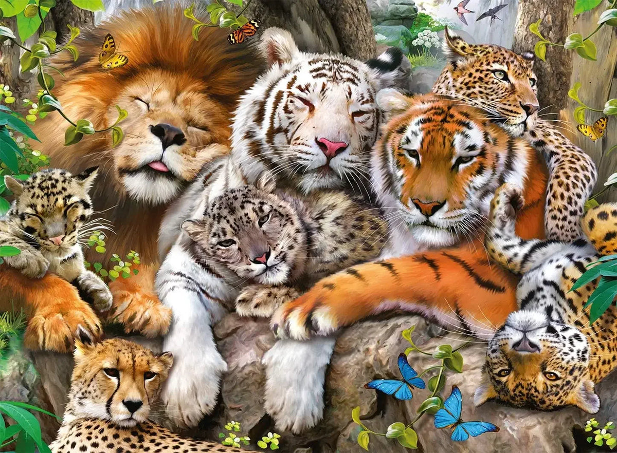 A group of various big cats, including lions and tigers, resting together in a natural setting.