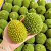 A hand holds a bright green crunchy durian squeeze toy with a textured surface against a background of similar green fruits.