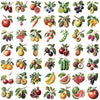A collection of various fresh fruits including apples, citrus, berries, nuts, and vegetables shown for stickers.