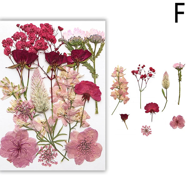Pressed natural dried flowers in shades of pink and deep red for resin, nail art, and jewelry making