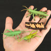A hand holds three green insect-like figures, likely part of an Animal & Plant Life Cycle Learning Set.