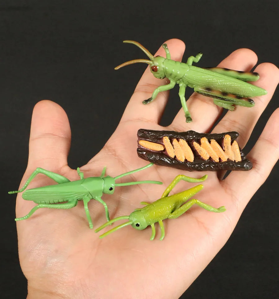 A hand holds three green insect-like figures, likely part of an Animal & Plant Life Cycle Learning Set.