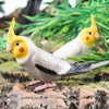 Realistic Bird Figurine Set – Educational PVC Models for Kids and Collectors