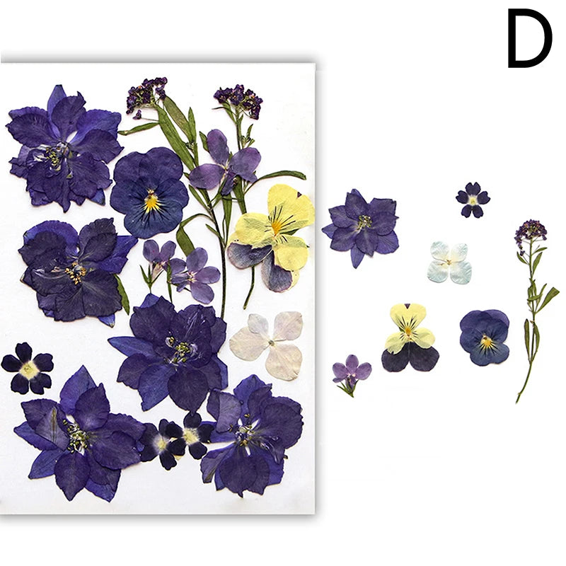 A collection of pressed natural dried flowers in shades of purple and yellow for resin, nail art, and jewelry making.