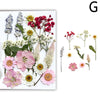 A collection of pressed natural dried flowers in various shades of pink, white, and red for crafting.