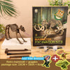 A kit featuring a retro mammoth dinosaur fossil, goggles, and tools for excavation.