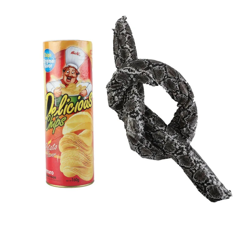 Surprise Prank Snake in a Potato Chip Can