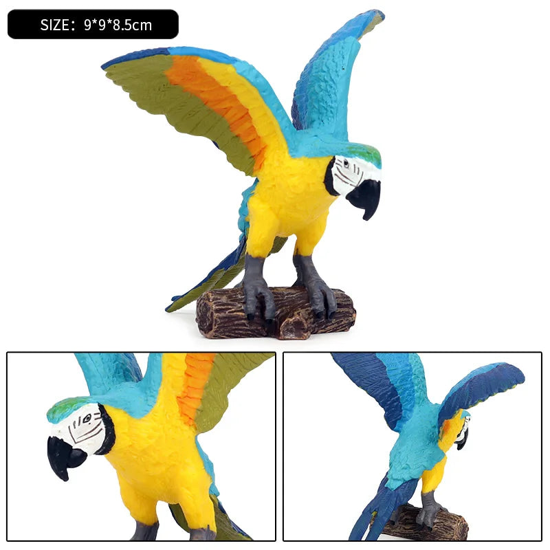 Realistic Bird Figurine Set – Educational PVC Models for Kids and Collectors