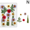 Pressed natural dried flowers in purple, white, and red for resin art and jewelry making