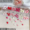 Fruit & Floral Resin Nail Art Decorations