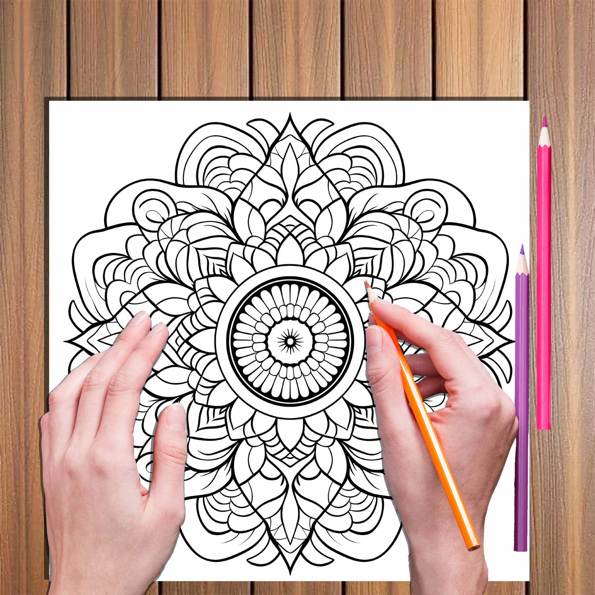 Intricate Mandala Coloring Book for Adult Stress Relief
