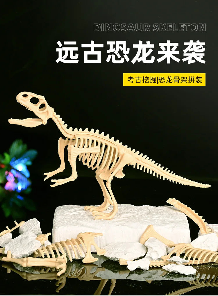 A detailed wooden dinosaur skeleton model is displayed on a white rock, surrounded by various fossil bones and teeth.