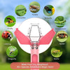 A pink bug catcher with a magnifying viewer is shown surrounded by illustrations of various insects like caterpillars, butter