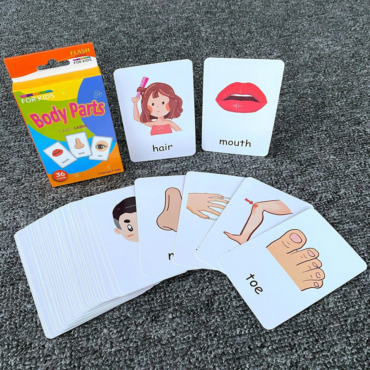 A set of flash cards for kids showing body parts like hair, mouth, and toe.