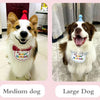 Pet Birthday Hat and Bib Celebration Set