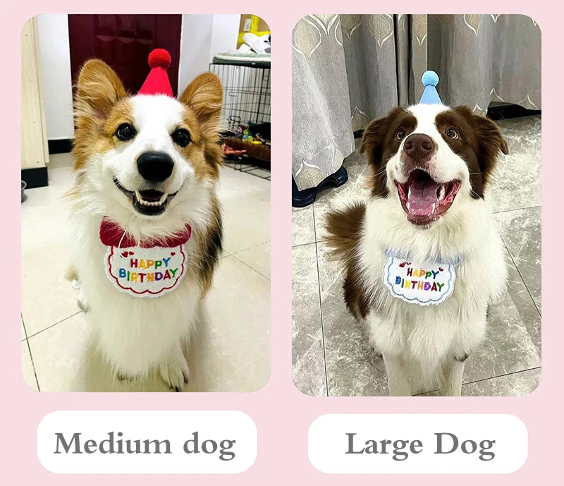 Pet Birthday Hat and Bib Celebration Set