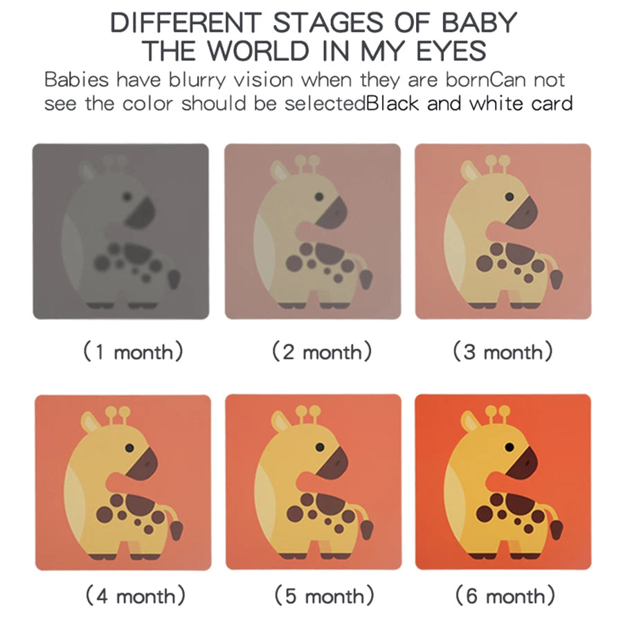 Montessori High-Contrast Visual Stimulation Cards for Babies